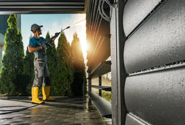 Best House Exterior Washing  in Holiday Shores, IL