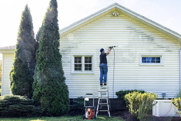 Boat and Dock Cleaning in Holiday Shores, IL